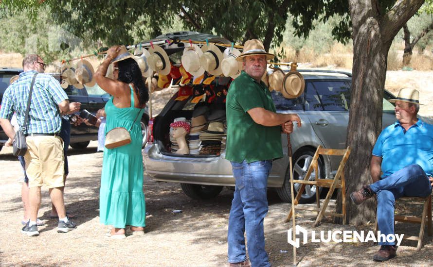 GALERÍA / Volviendo a los orígenes: La Estación acoge una nueva edición de la Feria del Ganado Tradicional de Lucena