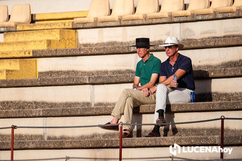 GALERÍA: Las mejores imágenes del mano a mano de Finito de Córdoba y José Mercé en el Coso de los Donceles de Lucena