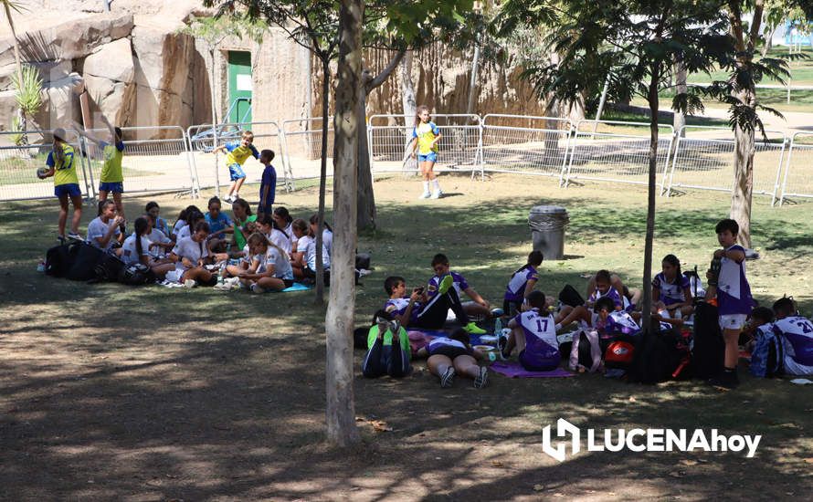 GALERÍA: Más de 300 jugadores de doce clubes andaluces tomaron parte en el I Memorial de Balonmano "Manolo Lara Cantizani"