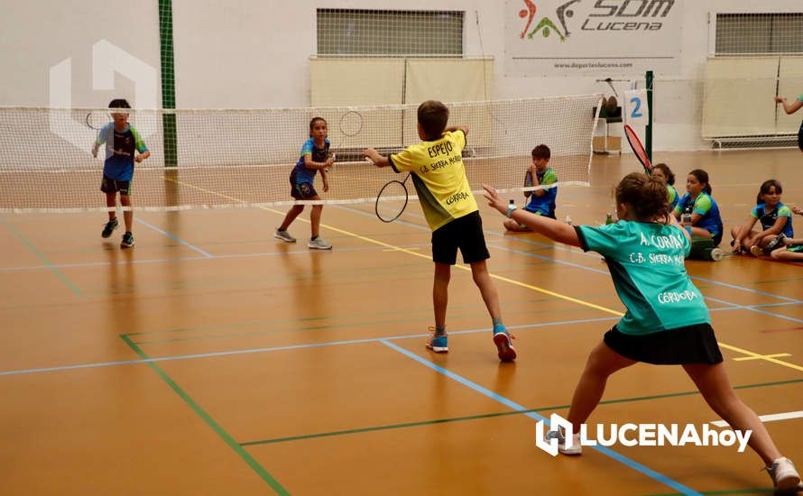 GALERÍA: 43 jugadores se dieron cita este fin de semana en el XVI Día Local de Bádminton, organizado por el Club de Bádminton Lucena