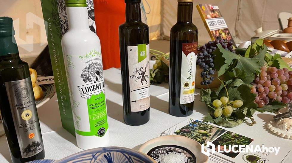 GALERÍA: "Armonía de Sabores de Sefarad", un paseo por la cocina judía de la mano de los aceites y los vinos de las DOP de Lucena y Montilla-Moriles en Las Navas