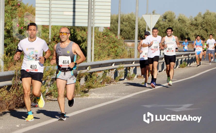 GALERÍA 2: Las imágenes de la V Carrera Subida al Santuario de María Stma. de Araceli: Sierra de Aras y llegada