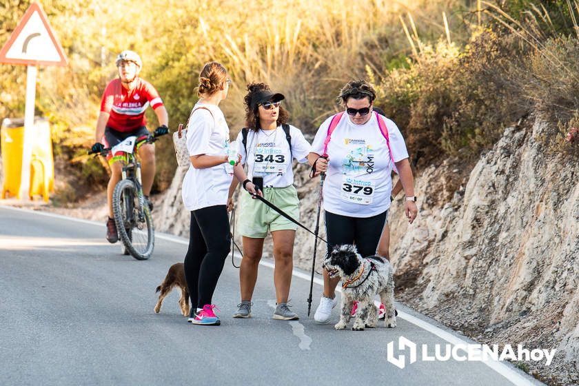 GALERÍA 2: Las imágenes de la V Carrera Subida al Santuario de María Stma. de Araceli: Sierra de Aras y llegada