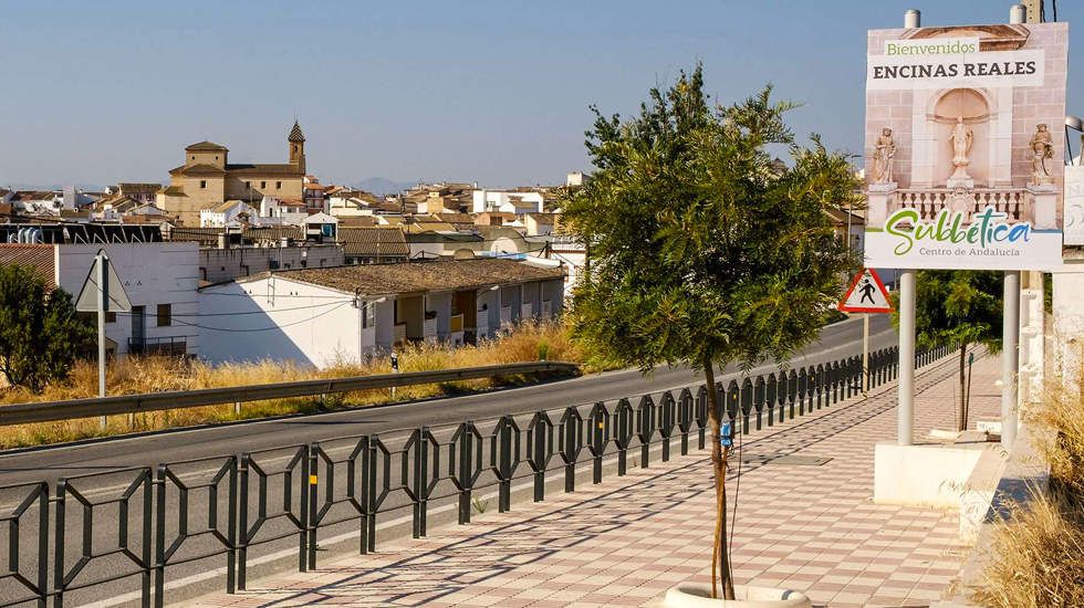  Encinas Reales. Foto: Turismo de la Subbética 