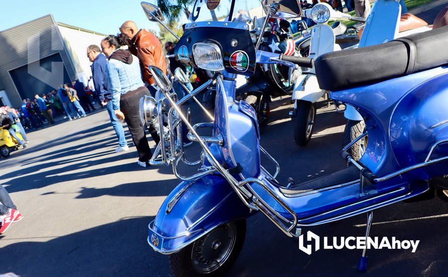 GALERÍA 1: Lucena vuelve a convertirse en el paraíso de los "vesperos" gracias a la XI Ruta Subbética en Vespa: Las fotos de la fiesta de bienvenida y la salida GALERÍA 1: Lucena vuelve a convertirse en el paraíso de los "vesperos" gracias a la XI Ruta Subbética en Vespa: Las fotos de la fiesta de bienvenida y la salida