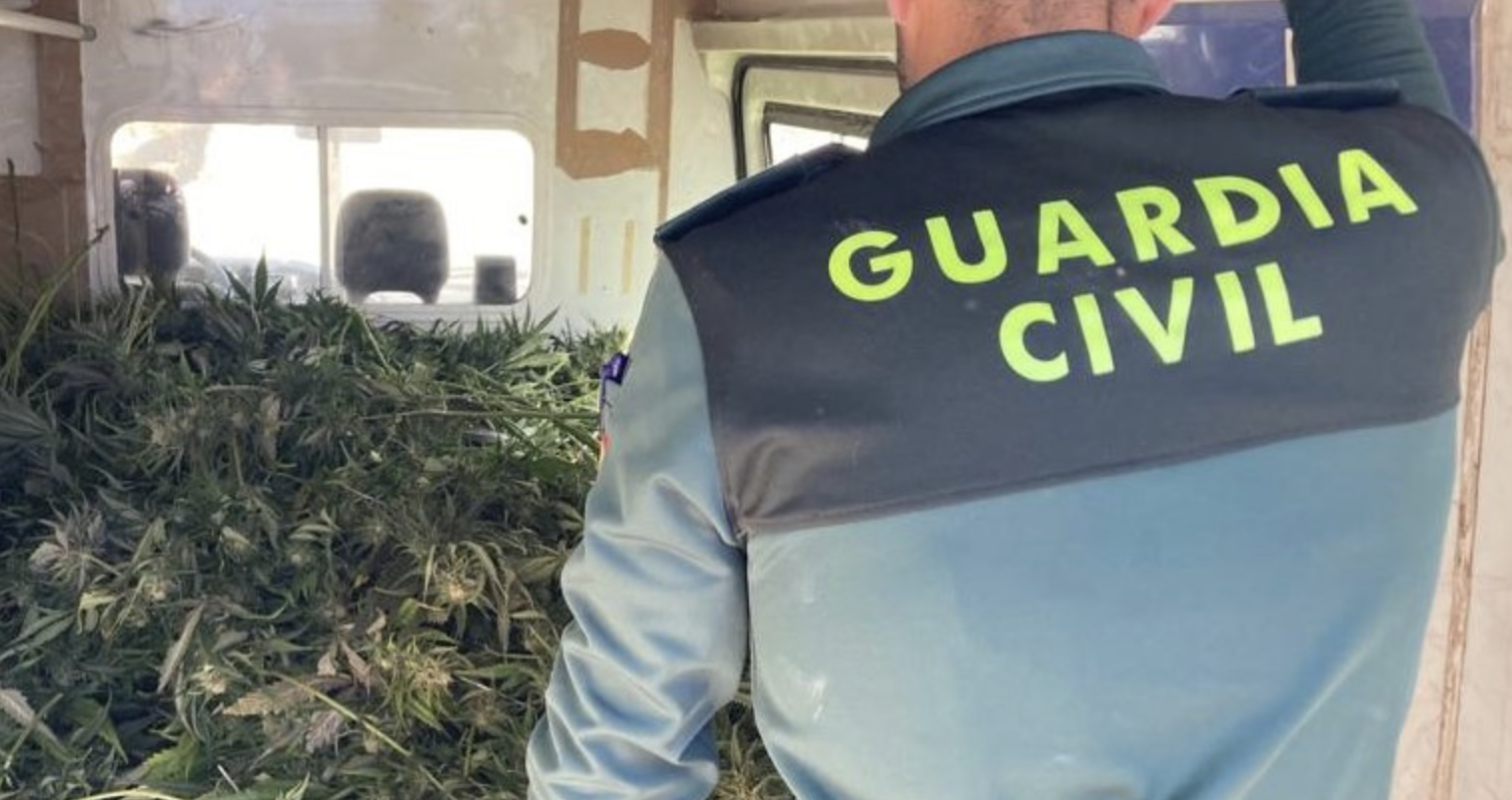 Un agente de la Guardia Civil en una de las plantaciones desmanteladas