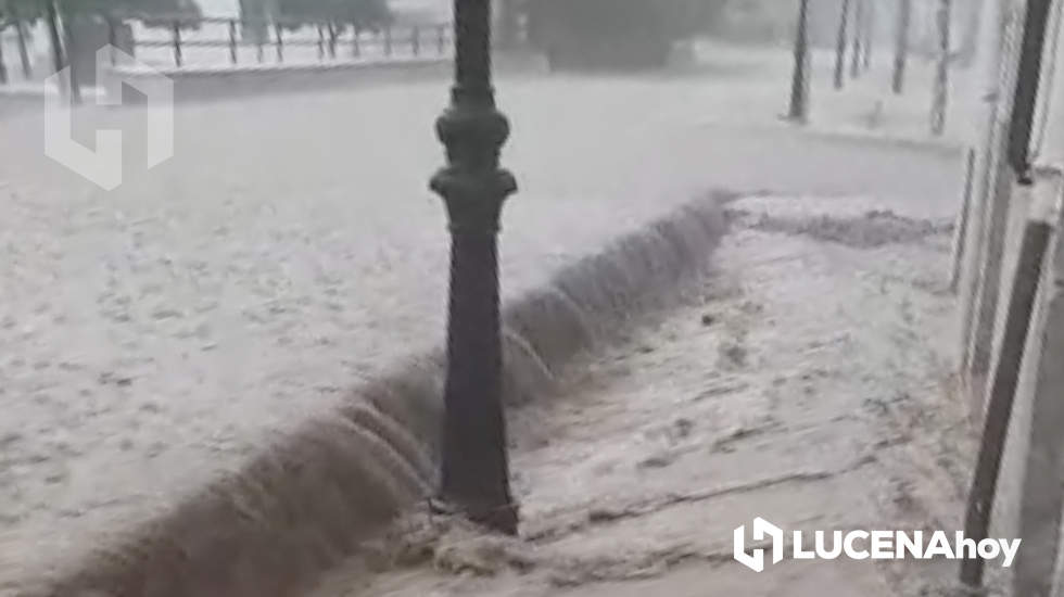  Así bajaba el agua por la calle Navas a la altura de la zona de El Pilar, una de las más afectadas 