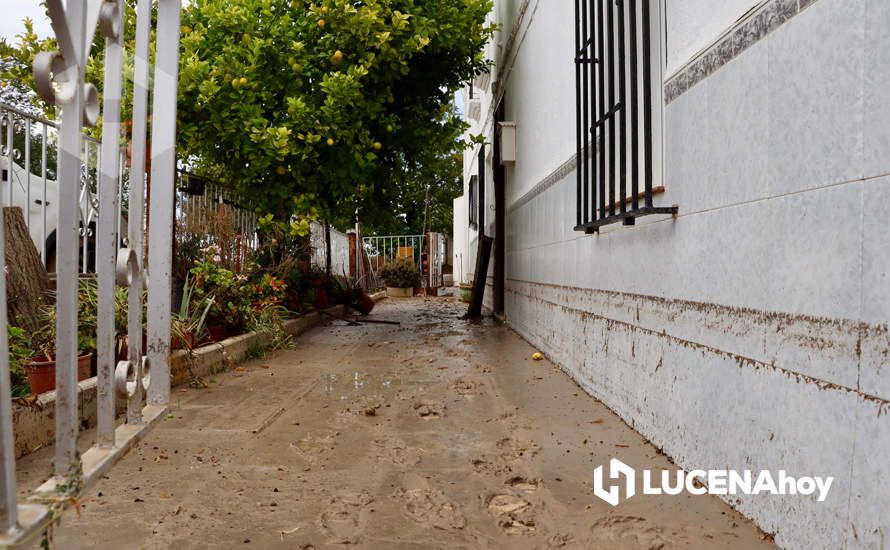 GALERÍA: Las fotos de las inundaciones y daños que ha dejado la tormenta en Las Navas del Selpillar