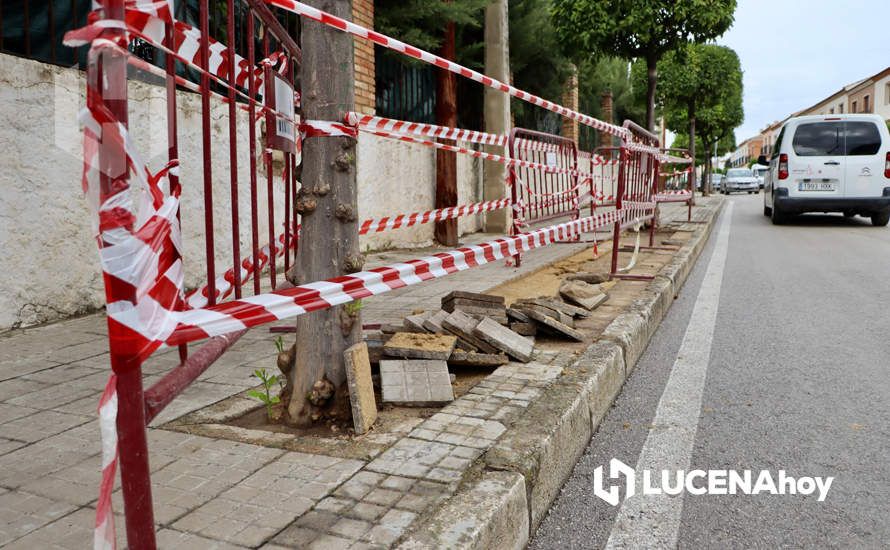 GALERÍA: Las fotos de las inundaciones y daños que ha dejado la tormenta en Las Navas del Selpillar