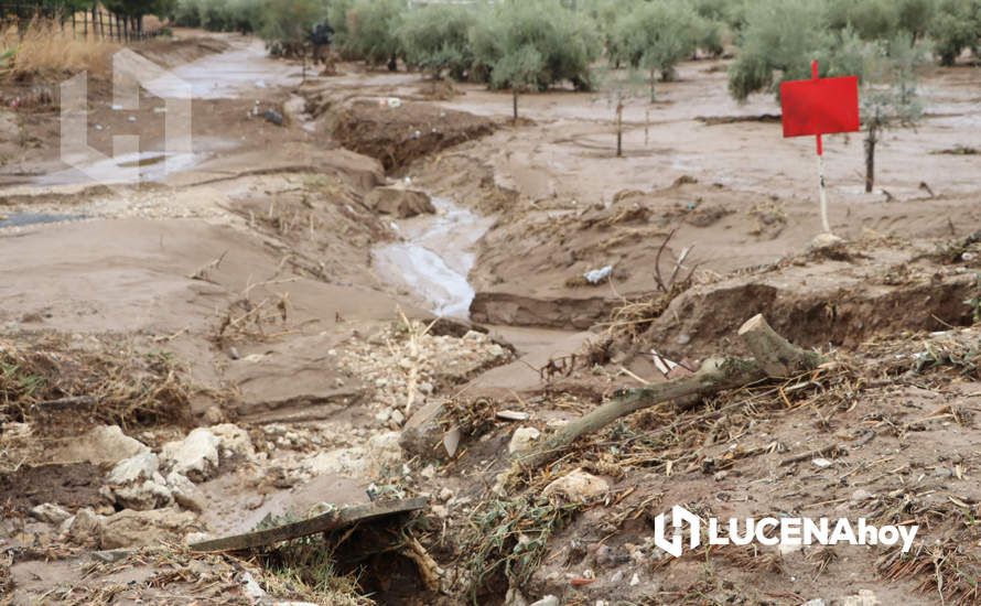 GALERÍA: Las fotos de las inundaciones y daños que ha dejado la tormenta en Las Navas del Selpillar