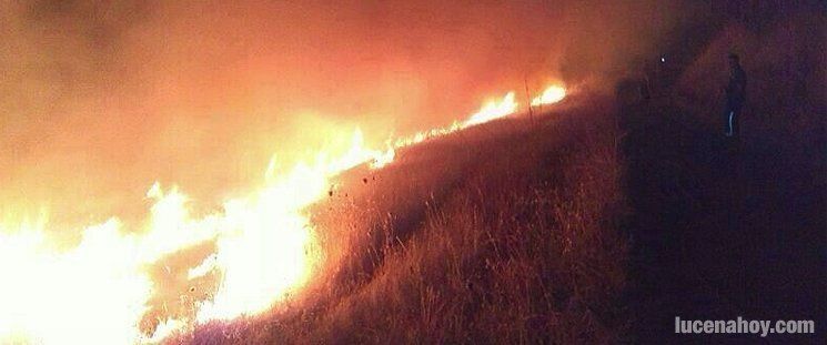  Un incendio arrasa 5.000 metros cuadrados de pastos en el Camino del Caracolillo 