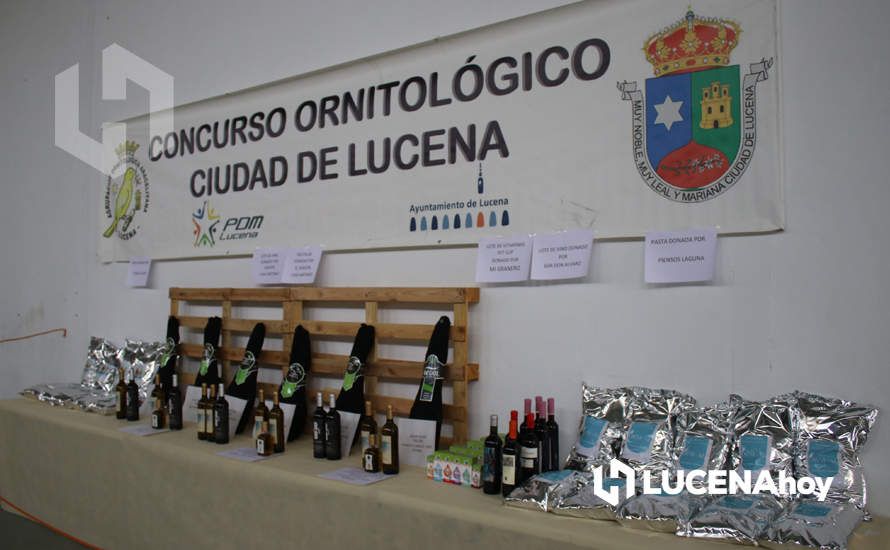 GALERÍA: El XXXVII Concurso Ornitológico 'Ciudad de Lucena' reúne a unos 600 ejemplares de múltiples variedades de canarios GALERÍA: El XXXVII Concurso Ornitológico 'Ciudad de Lucena' reúne a unos 600 ejemplares de múltiples variedades de canarios