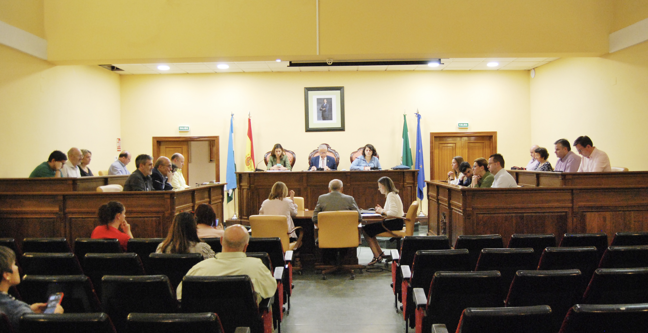 Un momento de la sesión plenaria en la que se ha aprobado el convenio con la Universidad de Córdoba