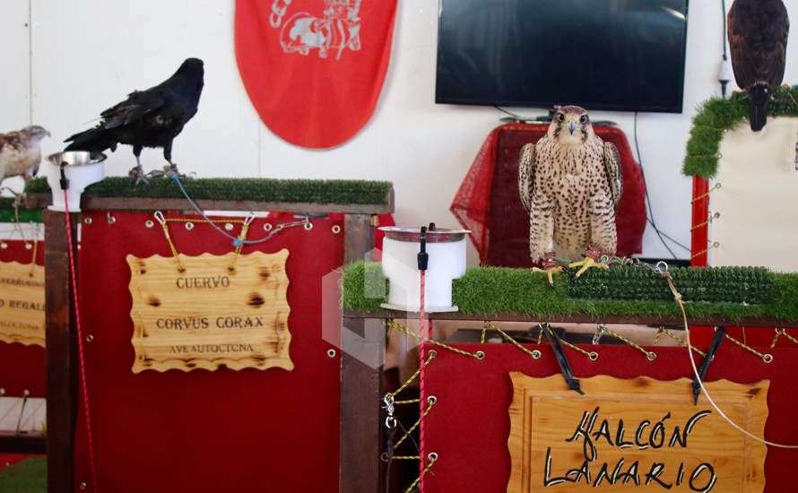 GALERÍA: Buen ambiente en la jornada inaugural de Cazauja, la feria de Caza, Pesca, Turismo y Gastronomía de Jauja GALERÍA: Buen ambiente en la jornada inaugural de Cazauja, la feria de Caza, Pesca, Turismo y Gastronomía de Jauja