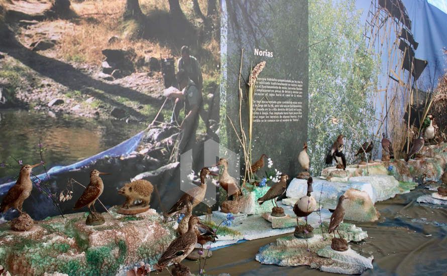 GALERÍA: Buen ambiente en la jornada inaugural de Cazauja, la feria de Caza, Pesca, Turismo y Gastronomía de Jauja GALERÍA: Buen ambiente en la jornada inaugural de Cazauja, la feria de Caza, Pesca, Turismo y Gastronomía de Jauja