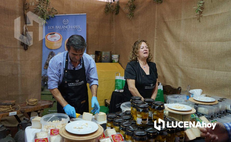 GALERÍA: Lucena lleva sus aceites, vinos y patrimonio a la Feria de los Municipios que se celebra hasta el domingo en la Diputación de Córdoba