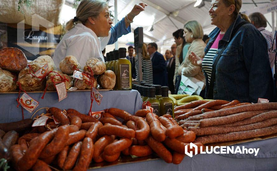 GALERÍA: Lucena lleva sus aceites, vinos y patrimonio a la Feria de los Municipios que se celebra hasta el domingo en la Diputación de Córdoba