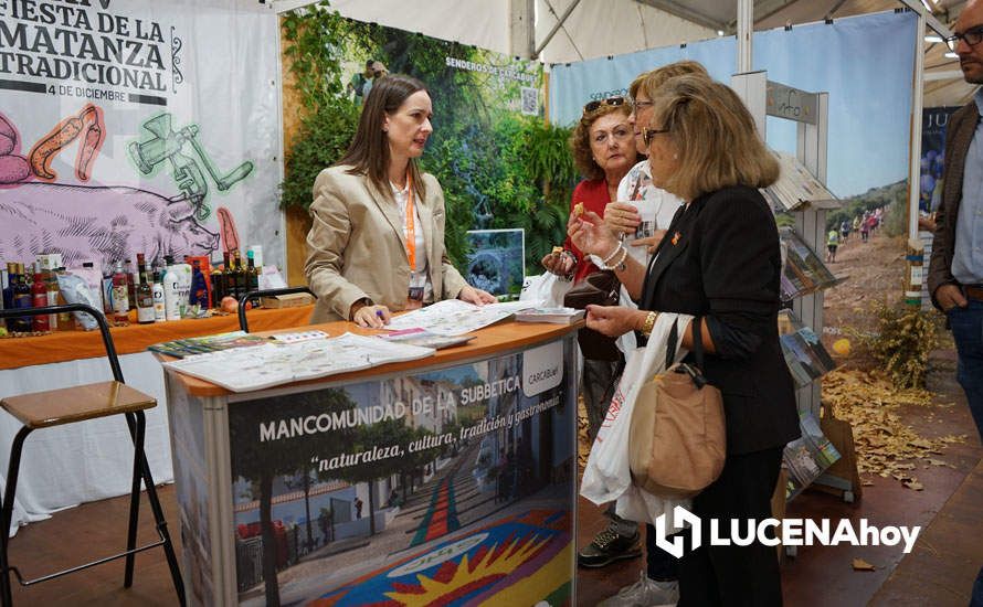 GALERÍA: Lucena lleva sus aceites, vinos y patrimonio a la Feria de los Municipios que se celebra hasta el domingo en la Diputación de Córdoba