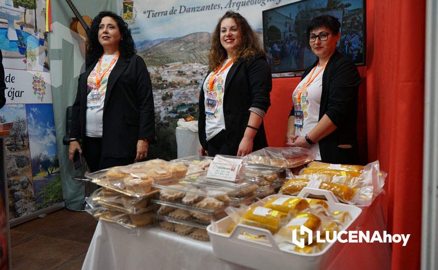 GALERÍA: Lucena lleva sus aceites, vinos y patrimonio a la Feria de los Municipios que se celebra hasta el domingo en la Diputación de Córdoba