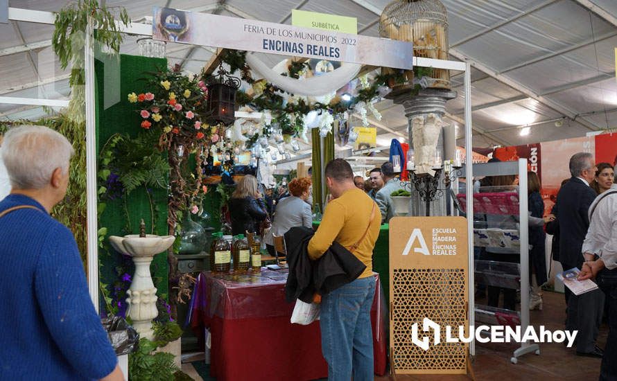 GALERÍA: Lucena lleva sus aceites, vinos y patrimonio a la Feria de los Municipios que se celebra hasta el domingo en la Diputación de Córdoba