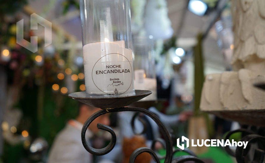 GALERÍA: Lucena lleva sus aceites, vinos y patrimonio a la Feria de los Municipios que se celebra hasta el domingo en la Diputación de Córdoba