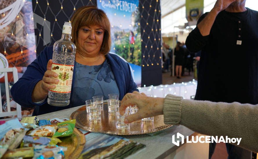 GALERÍA: Lucena lleva sus aceites, vinos y patrimonio a la Feria de los Municipios que se celebra hasta el domingo en la Diputación de Córdoba