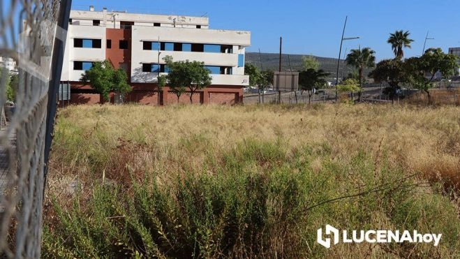 Solar abandonado en la zona oeste de la ciudad. Archivo