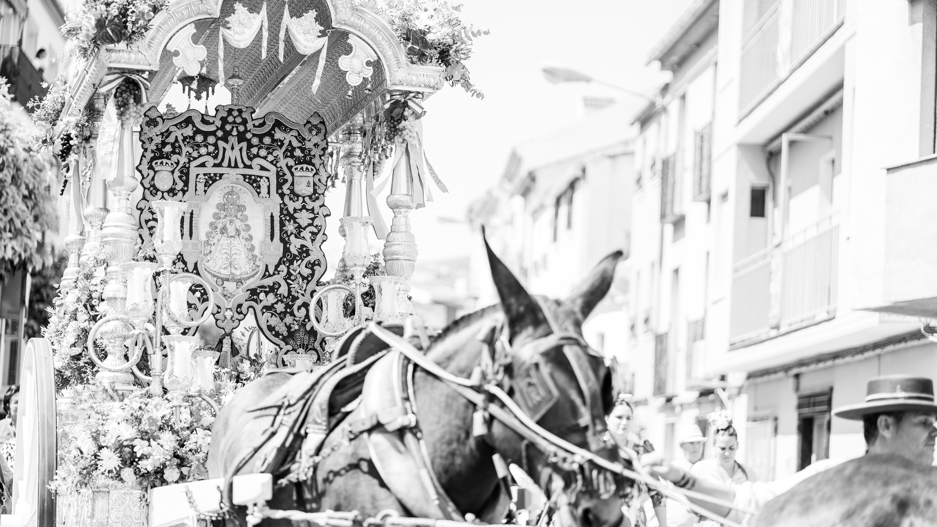 Rocio Lucena 2023 (21) Rocio Lucena 2023 (21)