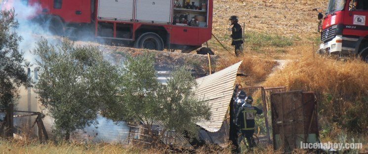  Los bomberos controlan dos incendios simultáneos en distintas zonas de la ciudad (fotos) 