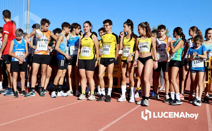 GALERÍA III: Los jóvenes y los más pequeños también han participado en la XXIII Carrera Popular Ciudad de Lucena GALERÍA III: Los jóvenes y los más pequeños también han participado en la XXIII Carrera Popular Ciudad de Lucena