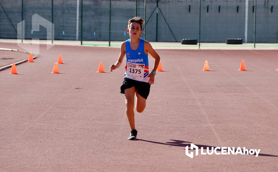 GALERÍA III: Los jóvenes y los más pequeños también han participado en la XXIII Carrera Popular Ciudad de Lucena GALERÍA III: Los jóvenes y los más pequeños también han participado en la XXIII Carrera Popular Ciudad de Lucena