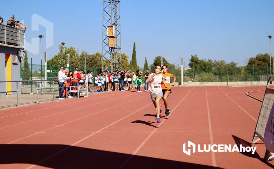 GALERÍA III: Los jóvenes y los más pequeños también han participado en la XXIII Carrera Popular Ciudad de Lucena GALERÍA III: Los jóvenes y los más pequeños también han participado en la XXIII Carrera Popular Ciudad de Lucena