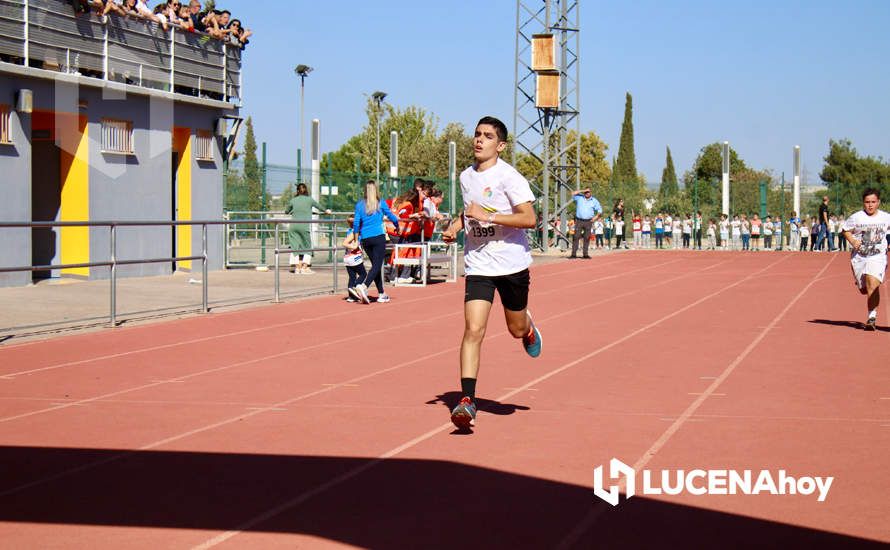 GALERÍA III: Los jóvenes y los más pequeños también han participado en la XXIII Carrera Popular Ciudad de Lucena GALERÍA III: Los jóvenes y los más pequeños también han participado en la XXIII Carrera Popular Ciudad de Lucena