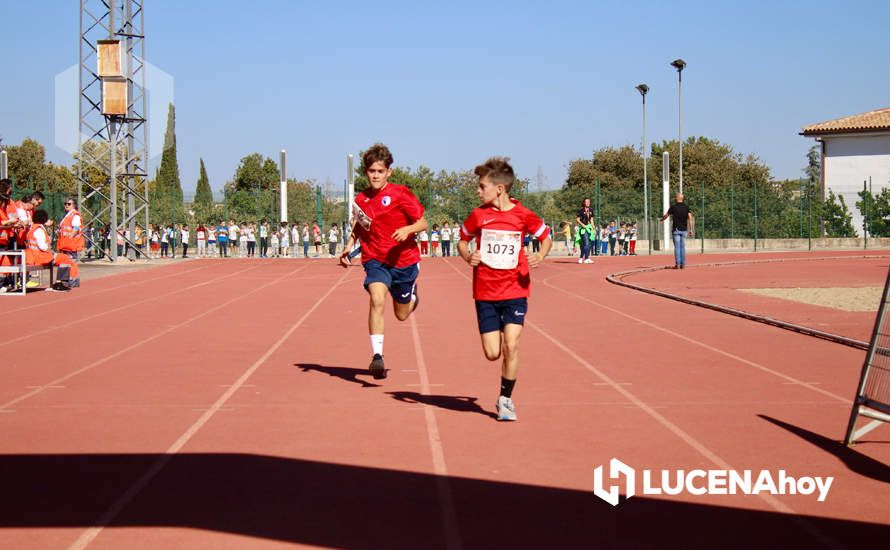 GALERÍA III: Los jóvenes y los más pequeños también han participado en la XXIII Carrera Popular Ciudad de Lucena GALERÍA III: Los jóvenes y los más pequeños también han participado en la XXIII Carrera Popular Ciudad de Lucena