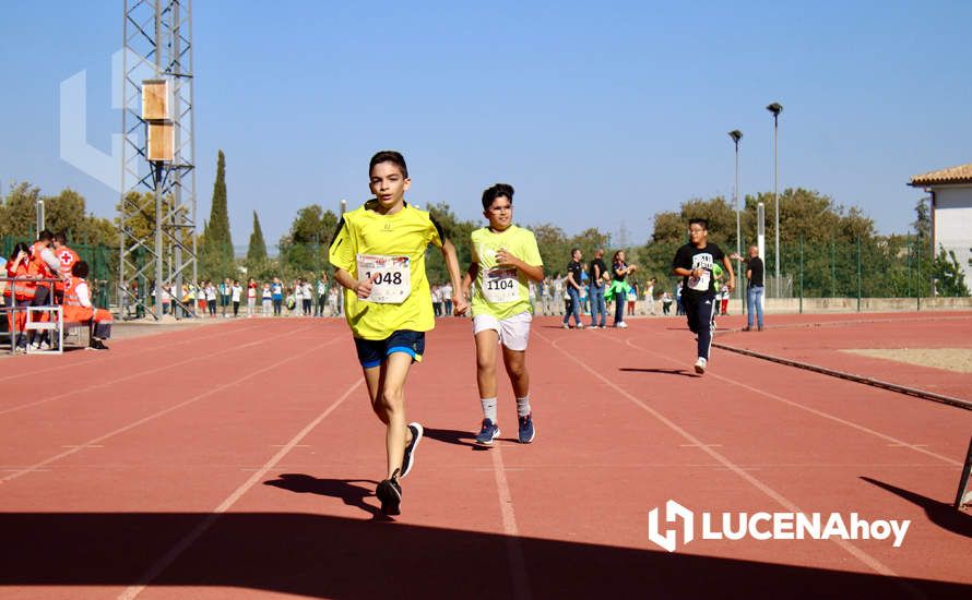 GALERÍA III: Los jóvenes y los más pequeños también han participado en la XXIII Carrera Popular Ciudad de Lucena GALERÍA III: Los jóvenes y los más pequeños también han participado en la XXIII Carrera Popular Ciudad de Lucena
