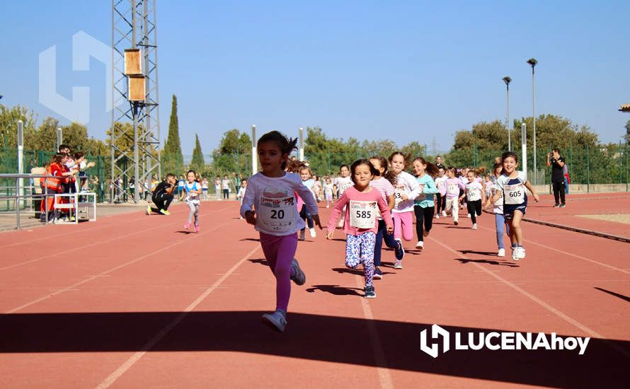 GALERÍA III: Los jóvenes y los más pequeños también han participado en la XXIII Carrera Popular Ciudad de Lucena GALERÍA III: Los jóvenes y los más pequeños también han participado en la XXIII Carrera Popular Ciudad de Lucena