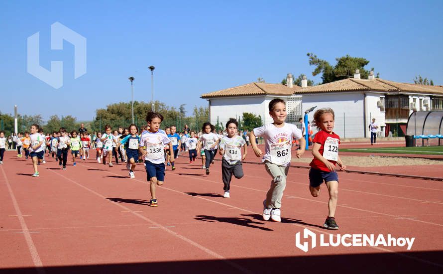 GALERÍA III: Los jóvenes y los más pequeños también han participado en la XXIII Carrera Popular Ciudad de Lucena GALERÍA III: Los jóvenes y los más pequeños también han participado en la XXIII Carrera Popular Ciudad de Lucena