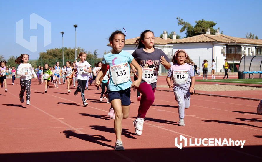 GALERÍA III: Los jóvenes y los más pequeños también han participado en la XXIII Carrera Popular Ciudad de Lucena GALERÍA III: Los jóvenes y los más pequeños también han participado en la XXIII Carrera Popular Ciudad de Lucena