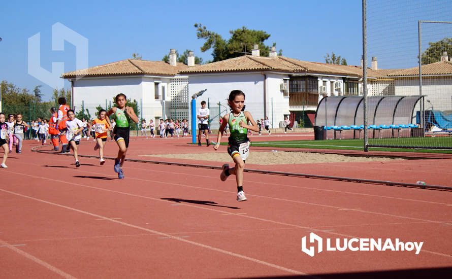 GALERÍA III: Los jóvenes y los más pequeños también han participado en la XXIII Carrera Popular Ciudad de Lucena GALERÍA III: Los jóvenes y los más pequeños también han participado en la XXIII Carrera Popular Ciudad de Lucena