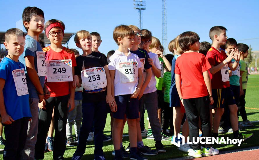 GALERÍA III: Los jóvenes y los más pequeños también han participado en la XXIII Carrera Popular Ciudad de Lucena GALERÍA III: Los jóvenes y los más pequeños también han participado en la XXIII Carrera Popular Ciudad de Lucena