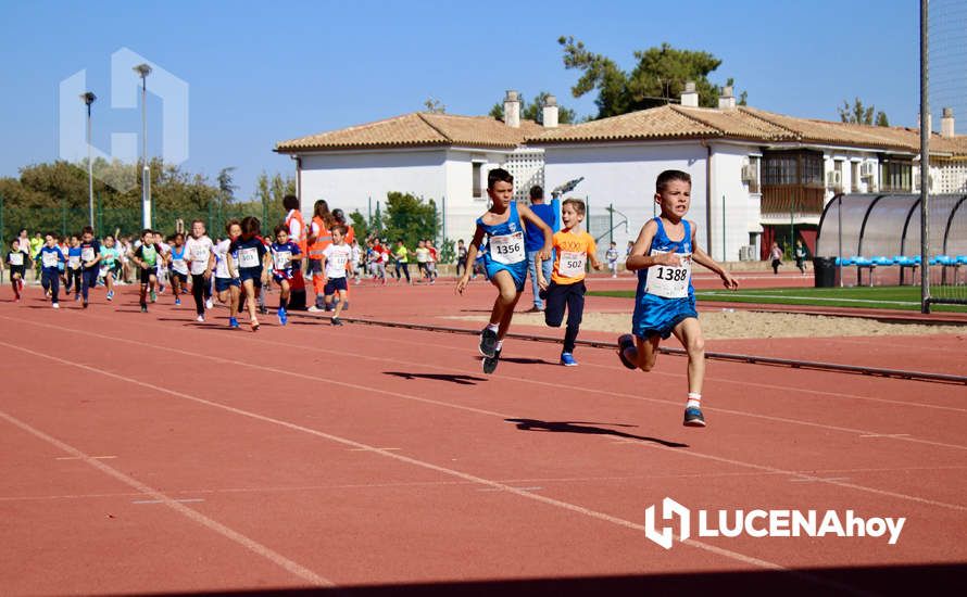 GALERÍA III: Los jóvenes y los más pequeños también han participado en la XXIII Carrera Popular Ciudad de Lucena GALERÍA III: Los jóvenes y los más pequeños también han participado en la XXIII Carrera Popular Ciudad de Lucena