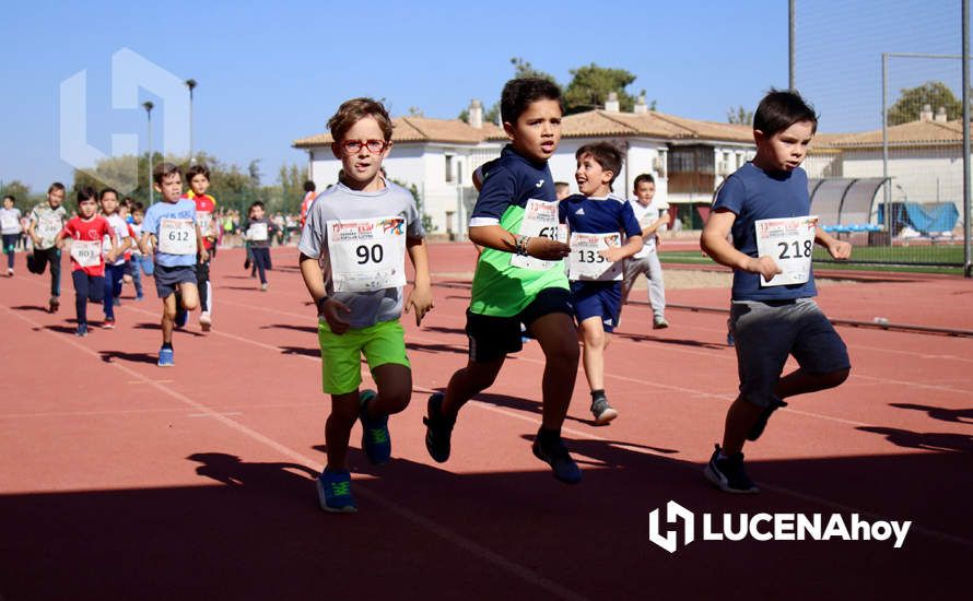 GALERÍA III: Los jóvenes y los más pequeños también han participado en la XXIII Carrera Popular Ciudad de Lucena GALERÍA III: Los jóvenes y los más pequeños también han participado en la XXIII Carrera Popular Ciudad de Lucena