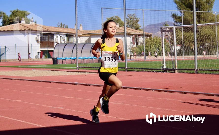 GALERÍA III: Los jóvenes y los más pequeños también han participado en la XXIII Carrera Popular Ciudad de Lucena GALERÍA III: Los jóvenes y los más pequeños también han participado en la XXIII Carrera Popular Ciudad de Lucena