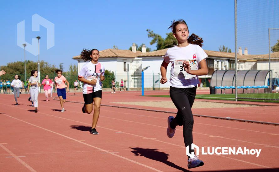 GALERÍA III: Los jóvenes y los más pequeños también han participado en la XXIII Carrera Popular Ciudad de Lucena GALERÍA III: Los jóvenes y los más pequeños también han participado en la XXIII Carrera Popular Ciudad de Lucena