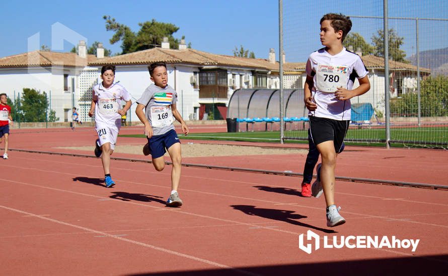 GALERÍA III: Los jóvenes y los más pequeños también han participado en la XXIII Carrera Popular Ciudad de Lucena GALERÍA III: Los jóvenes y los más pequeños también han participado en la XXIII Carrera Popular Ciudad de Lucena