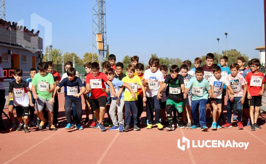 GALERÍA III: Los jóvenes y los más pequeños también han participado en la XXIII Carrera Popular Ciudad de Lucena GALERÍA III: Los jóvenes y los más pequeños también han participado en la XXIII Carrera Popular Ciudad de Lucena