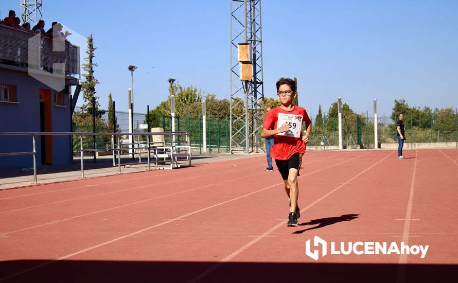 GALERÍA III: Los jóvenes y los más pequeños también han participado en la XXIII Carrera Popular Ciudad de Lucena GALERÍA III: Los jóvenes y los más pequeños también han participado en la XXIII Carrera Popular Ciudad de Lucena