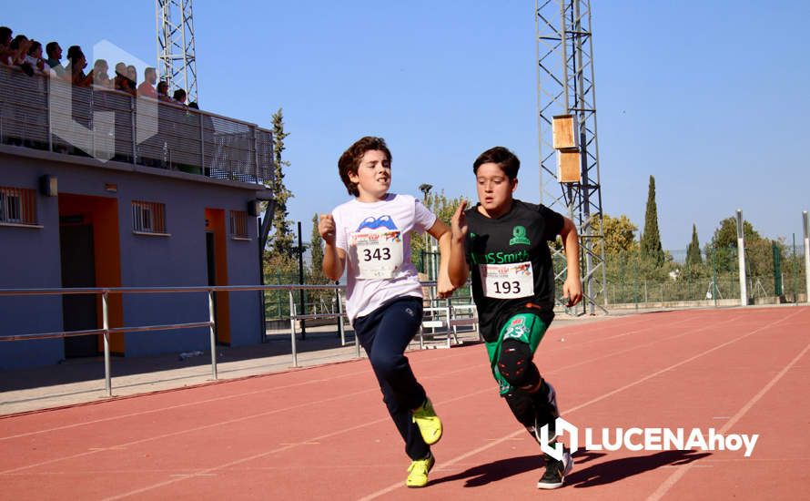 GALERÍA III: Los jóvenes y los más pequeños también han participado en la XXIII Carrera Popular Ciudad de Lucena GALERÍA III: Los jóvenes y los más pequeños también han participado en la XXIII Carrera Popular Ciudad de Lucena