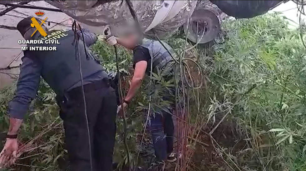  Una imagen de la plantación desmantelada por la Guardia Civil 