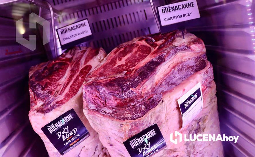 VÍDEO/GALERÍA: Representantes de un centenar de restaurantes y profesionales de la restauración andaluces se dan cita en la III Cata BuenaCarne VÍDEO/GALERÍA: Representantes de un centenar de restaurantes y profesionales de la restauración andaluces se dan cita en la III Cata BuenaCarne